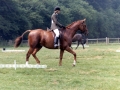 1983 Area Dressage