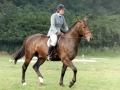 1983 Area Dressage