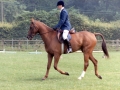 1983 Area Dressage