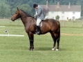 1983 Area Dressage