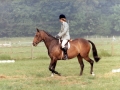 1983 Area Dressage