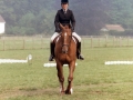 1983 Area Dressage