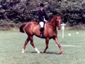 1983 Area Dressage