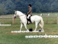 1983 Area Dressage