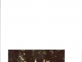 Sue-McGrath-dressage-team-2