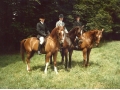 Sue-McGrath-dressage-team