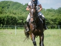 2017 Area Horse Trials - 90 Qualifier