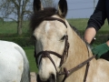 2009_0424BVRCCamp0272