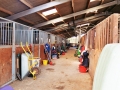 2006 BVRC Camp, Stockland Lovell