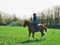 Photo29_26A