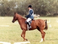 1984 BRC Horse Trials Championships