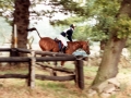 1984 BRC Horse Trials Championships