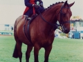 Bill-Royal